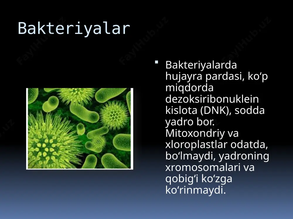 bakteriyalarning bioplyonkasi - Page 4