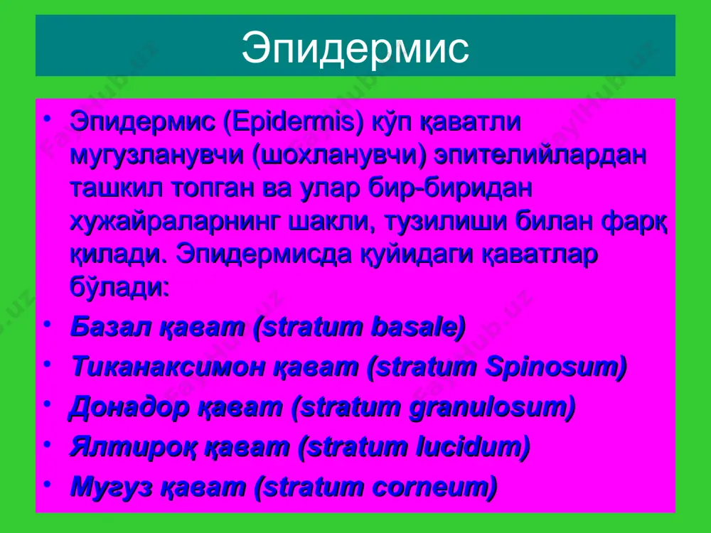 r xilda, dog' shuningdek teri satxidan ko'tarilmaydi. qon tomirlariga aloqador yallig'lanishli va yallig'lanishsiz dog'lar. gemorragik dog'lar pigment dog'lari sun'iy dog'lar yallig'lanish dog'lari terining qon tomirlarini kengayishi oqibatida xosil bo'lgan. bu dog'lar barmoq bilan bosilganda yo'qolib ketadi, bosish to'xtatilganda yana paydo bo'ladi. yallig'lanish dog'larining rangi och pushtidan to ko'kimtir qizilgacha bo'lishi mumkin. dog'lar yo'qalayotganda ular tangachalar bilan qoplanadi va so'rilib ketgach ikkilamchi pigmentatsiya qoldiradi yoki iz qoldirmasdan tugaydi. yallig'lanish dog'lari dermatitlarda ikkilamchi sifilisda, ekzemada va boshqa ko'plab kasalliklarda uchraydi. dog' (macula) macula inflammatoria rosea) dog' (macula) yallig'lanishsiz dog'larga jaxl (yoki uyalish) eritemasi misol bo'ladi.shuningdek teleangiektaziyalar xam yallig'lanishsiz dog'lardir. gemorragik dog'lar teriga qon quyilishi oqibatida xosil bo'ladilar. ularga petexiyalar, purpuralar ekximozlar, vibitsess (chiziqsimon gemorragik dog'lar), gematomalar kiradi. pigment dog'lari giperpigmentatsiyali yoki depigmentatsiyali bo'ladi. ular paydo bo'lishiga qarab tug'ma yoki orttirilgan bo'lishi mumkin. . sun'iy dog'lar teriga bo'yovchi moddalarning kirishi oqibatida paydo bo'ladi. (tatuirovkalar, professional stigmalar). dog' (macula) macula hyperchromica (pityriasis versicolor) dog' …