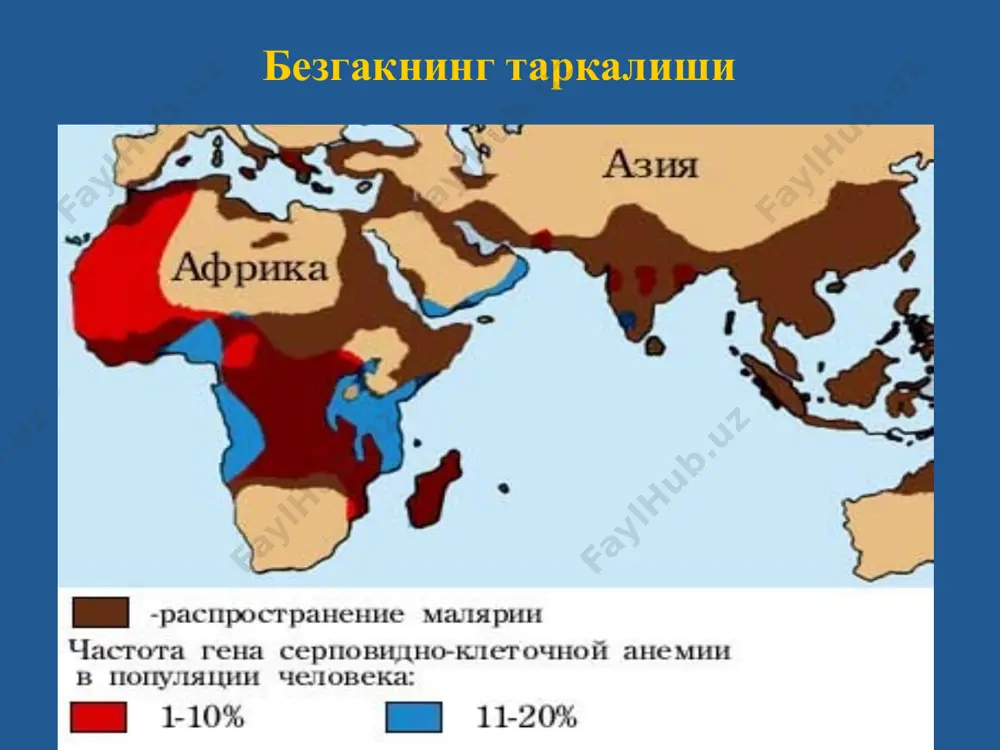 они 3,0- 10х12л паст булмайди. 3 кунлик безгакнинг температура чизиги овале - безгак 3- кунлик безгакка ухшаб кечади. касаллик юмшок кечиши билан фарк килади, пароксизмлар кунаро, лекин кечки вакт кузатилади. жигар ва талок катталашиши, бироз огрикли булиши мумкин. овале безгак интерметтирлувчи 3-кунлик истма кечкурунги пароксизмлар 4 –кунлик безгак инкубацион давр бир неча хафта ораликларда узгаради. биринчи хуружлардан бошлаб каттъий даврийлик хос- 2 кундан 3 кунга утиши. пароксизмлар куннинг 2 ярмида кузатилади. калтираш даври давомийлиги узок ва кескин намоне булади . иссиклик даври 6 соатгача. бу даврда – кескин бош огриши, мушакларда огрик, кунгил айниш, кайт килиш, алахсираш, хушнинг бузилиши. хароратнинг тушиши – кучли терлаш билан кечади. хуруж булмаганда бемор холати коникарли. жигар ва талок жуда секин катталашади, урта даражали анемия . 4 кунлик безгакнинг температура, кушилган хуружлар 4 кунлик безгакнинг температура чизиги тропик безгак - энг огир тури инкубацион давр - 7-14 кун. биринчи белгилари- холсизлик, чарчаш, бош огриши, кукрак …