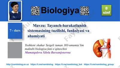 tayanch-harakatlanish sistemasining tuzilishi, funksiyasi va ahamiyati — PPTX