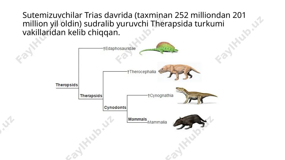 sutemizuvchilarning kelib chiqishi mavzusida taqdimoti - Page 2