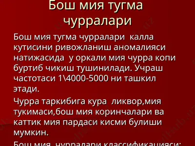 bo'sh miya tug'ma churralari — PPT