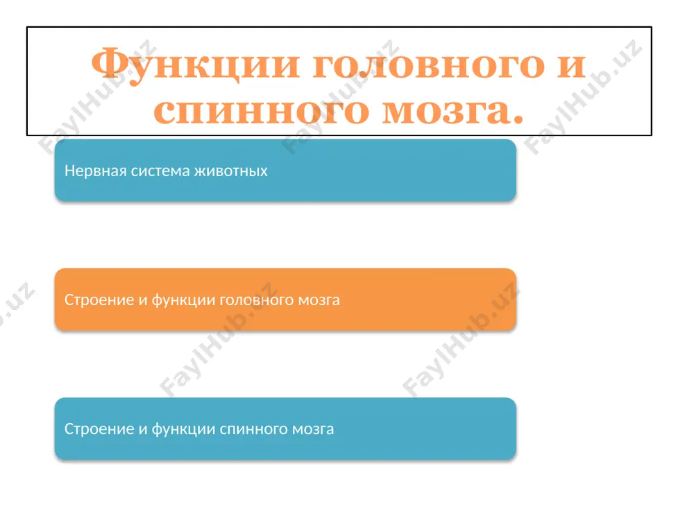 ые, пищевые, дыхательные, половые, дефекации, мочеиспускания), проведение импульсов от головного мозга к органам и обратно. спасибо за внимание !!! image1.png image2.png image3.png image4.png image5.png image6.png image7.png image8.png image9.png image10.png image11.png image12.png image13.png image14.png image15.png image16.png image17.png /docprops/thumbnail.jpeg