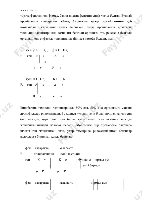 да генларнинг қандай изчилликда жойлашганлиги, улар орасидаги масофа тушунилади. биринчи марта генетик харита дрозофила мева пашшасида т.морган ва унинг шогирдлари томонидан тузилган. улар генларнинг гуруҳланишини бириккан ҳолда ирсийланиш, генлар орасидаги масофани эса кроссинговер ҳодисасига қараб белгилашган. бириккан ҳолда ирсийланишдаги кроссинговер, яъни f2 ота-онага ўхшамаган дурагайлар фоизи генетик харитада морганид бирлиги билан белгиланади.бу бирлик морганни генетика фани олдидаги хизматларини улуғлаш мақсадида эътироф этилган. ҳозирги даврга келиб дрозофиладан ташқари одам, сичқон, қуён, товуқ, тут ипак қурти, жўхори, памидор ва бошқа юксак ўсимликларнинг генетик харитаси тузилган. бу ҳақидаги маълумотлар и.а.захаровнинг «генетические карты высших организмов» китобида келтирилган. одамларда дурагайларни тахлил қилиш ёрдамида генетик харита тузиш қийин бўлгани сабабли бошқа усуллардан фойдаланилади. 13-жадвал одам биринчи хромосомасининг генетик харитаси ген символи маркер полиморфизм қисми муқаррарлиги a12m1 12-аденовируснинг жойлашиш 1с участкаси q42→q43 b a12m2 12-аденовируснинг жойлашиш 1а участкаси p36 b a12m3 12-аденовируснинг жойлашиш 1в участкаси 21 b ak2 2 – аденилаткиназа pter→32 д amy1 α-амилаза (сўлак безлар) …