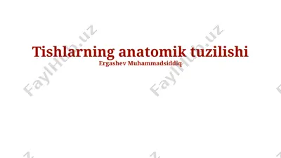 tishlarning anatomik tuzilishi — PPTX