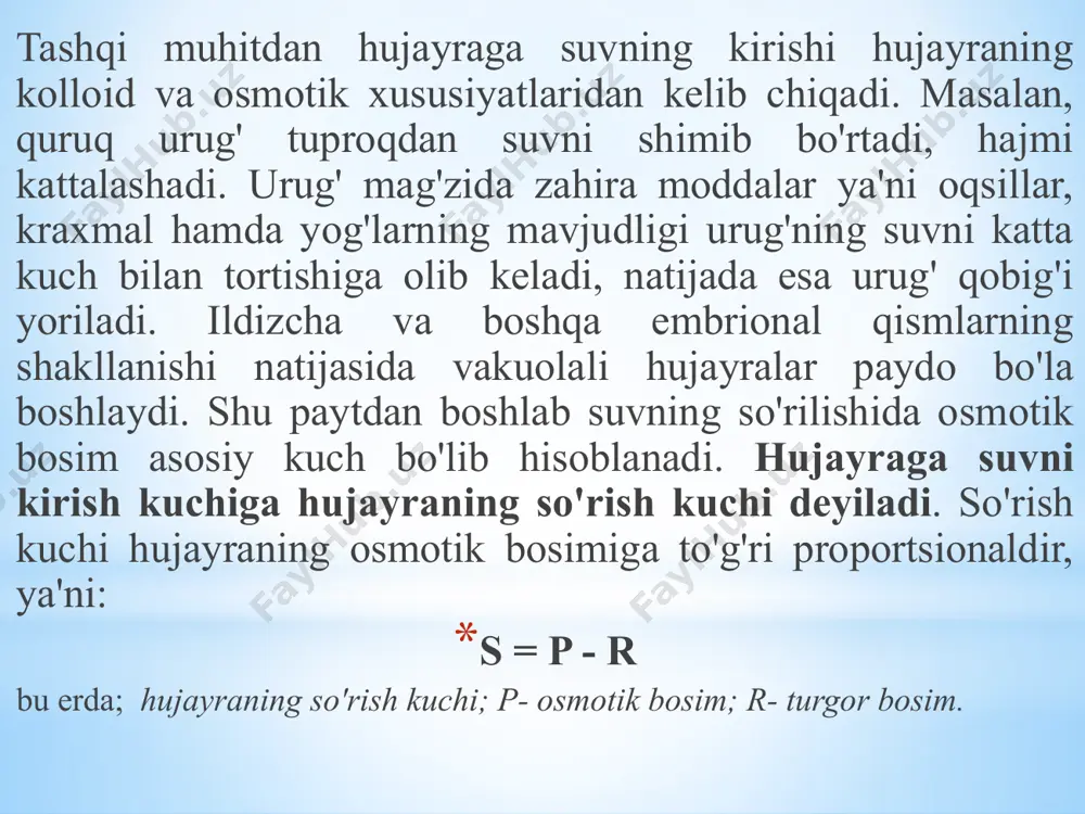 harakatlanishidir. bu erda suvni harakatiga karshilik juda kam. bu harakat rizoderma ildiz tukchalari po'stidan boshlanib endoderma hujayralarigacha davom etadi. endoderma hujayralarining po'sti juda qalin (kaspari belbog'i) va suv o'tkazmaydigan hujayralar qatlami bor. ularni ichida maxsus suv o'tkazuvchi hujayralar bor. ular ksilema hujayrasi bilan tutashgan. suv o'tkazuvchi hujayralarining tsitoplazmasiga o'tadi va simplast yo'li bilan o'tkazuvchi naylargacha davom etadi. simplast-bu suvni hujayra sitoplazmasi orqali harakatlanishidir. bu erda suv osmos qonunlari asosida harakatlanadi. suvning simplast harakatida qisman atf energiyasi ham sarflanishi mumkin degan fikrlar ham mavjud. suv ildiz tukchalaridan simplast yo'li bilan o'tkazuvchi naychaga harakatlanadi. transvakuolyar - bu suvning hujayra shirasi orqali harakatlanishi bildiradi.suvni kirishi va harakatlanishi hujayra shirasining osmotik bosimiga bog'liq bo'ladi. osmotik bosim katta bo'lsa, hujayraning so'rish kuchini oshiradi. natijada suv ksilema naylariga o'tadi va ularda pastdan yuqoriga itaruvchi gidrostatik bosim hosil qiladi. bu ildiz bosimidir. o'simlikning er ustki organlari orqali suvni bug'lanishi transpiratsiya deb ataladi. transpirasiya muhim fiziologik jarayon bo'lib …