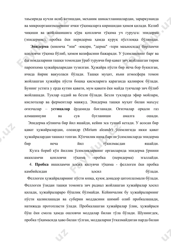 а турлича қалинликда бўлади. пробка дуби, амур бархат дарахтларида пробка қалинлиги бир неча сантиметрга етса, бошқа ўсимликларда бу кўрсаткич бир неча миллиметрни ташкил қилади. пробка совутиш ишида, самолётсозликда, саноатнинг турли тармоқларида ва бошқа соҳаларда ишлатилади. пробка асосан пробка дуби дарахтидан олинади. пўкак тўқимасида ҳужайраларнинг ташқи муҳит билан алоқасини амалга оширувчи ясмиқчалар бор. уларнинг шакли хилма-хил, одатда майда ва чўзинчоқ ёки юмалоқ бўлади. 5. пўстлоқ (ритидом). кўпчилик дарахтларнинг эски таналари ва илдизларининг эски пўкак тўқимаси қатламлари остида бир мунча вақтдан кейин пўкак камбийсининг янги қатлами пайдо бўлади. янги пўкак тўқима четки тўқималарни ички тўқималардан ажратиб қўяди ва натижада пўстлоқнинг ташқи қаватидаги барча тўқималар нобуд бўлади. сўнгра пўкак камбийсининг бу қатлами ҳам вақт ўтиб фаолиятини тўхтатади, пўстлоқ ичкарисида янги пўкак тўқима қатлами пайдо бўлади. кўп йиллик дарахтлар ҳаётида бу жараён кўп марта такрорланади. натижада пўстлоқнинг пўкак ажратиб қўйган қатламлари қуриб қотади ва қопловчи тўқиманинг алоҳида учламчи типи -қуруқ пўстлоқ ҳосил бўлади. турли …
