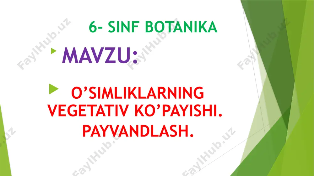 steam yondashuv asosida biologiya fanini o'qitish - Page 3