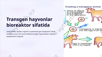 transgen hayvonlar bioreaktor sifatida — PPTX