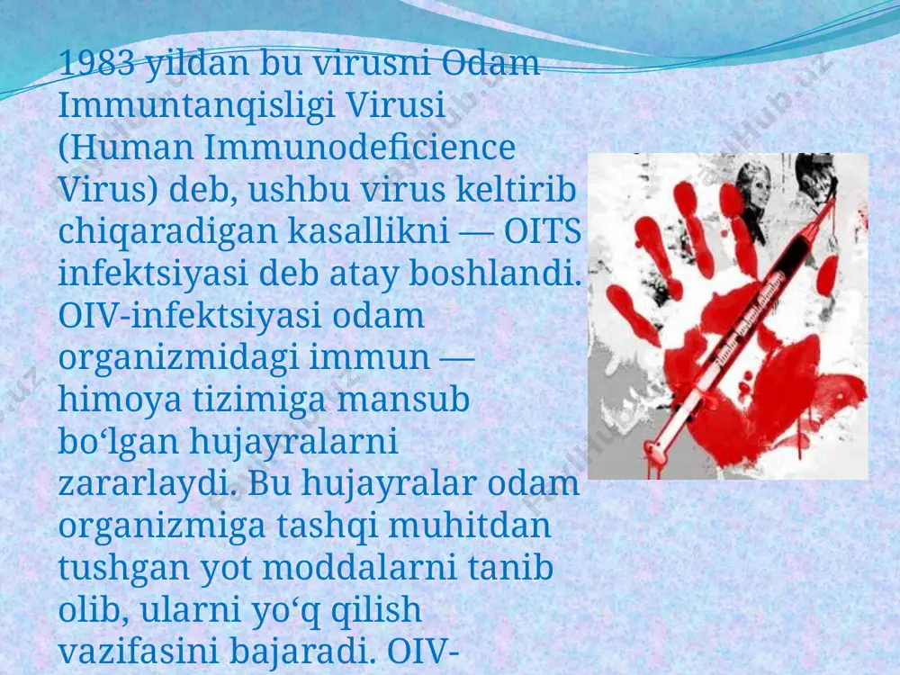 tushganida amalga oshadi. shuningdek, bemorning aynan shu suyuqliklarida oiv eng ko‘p miqdorda bo‘ladi, ya’ni bemorning qoni kasallik yuqishida katta ahamiyatga ega bo‘lgan omildir. o‘zbekistonda aholi sog‘lig‘ini muhofaza qilish sohasida oiv-infektsiyasi tarqalishining oldini olish yuzasidan qator qonuniy va me’yoriy hujjatlar qabul qilingan. jumladan, o‘zbekiston respublikasining 1999 yil 19 avgustdagi “odamning immunitet tanqisligi virusi bilan kasallanishining (oiv kasalligining) oldini olish to‘g‘risida”gi qonuniga asosan, davlat oits/oiv kasalligining oldini olish, tashhis qo‘yish va davolash vositalari yetkazib berilishini, shuningdek, tashhis qo‘yish, davolash va ilmiy maqsadlarda qo‘llaniladigan tibbiy preparatlar, biologik suyuqliklar, organlar va to‘qimalarning xavfsiz bo‘lishi ustidan nazorat qilinishini ta’minlaydi (4-modda) o‘zbekiston respublikasi fuqarolarida oits/oiv kasalligi aniqlangan taqdirda, ular qon, biologik suyuqlik, organlar va to‘qimalarning donori bo‘la olmaydilar. oits/oiv kasalligini yuqtirganlar tibbiy kuzatuv ostida bo‘lishlari shart (6-modda). shuningdek, o‘zbekiston hududida qon va qon preparatlarining zararsizligini ta’minlash hamda ushbu preparatlarning asossiz ravishda qo‘llanilmasligini belgilovchi sog‘liqni saqlash vazirligi tomonidan qabul qilingan qator me’yoriy hujjatlar mavjud va amaliyotga keng …