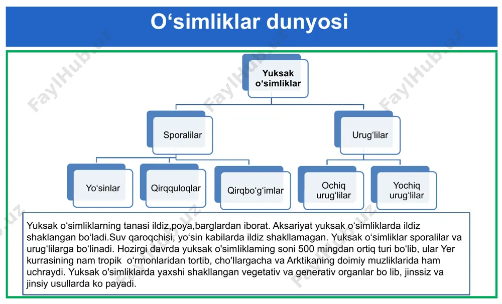 imon vakillari paleozoy erasining devon, trias davrlarida yashab, toshko'mir va yura davrlariga kelib yo'qolib ketgan. hozirda mavjud mavjud bo'lgan vakillari ko'p yillik o'tsimonlardir. dala qirqbo'g'imi ,shoxlangan qirqbo'g'im kabi vakillari markaziy osiyoda uchraydi. qirqbo‘g‘imlaming mayda, tangachasimon barglari poyada halqa hosil qilib joylashgan, poyadagi yon novdalar ham halqa shaklida joylashgan bo‘ladi. dala qirqbo'g'imi ekin mavdonlarida, ariq boylarida o‘sadigan begona o't. tibbiyotda dala qirqbo'g'imi novdalari siydik haydovchi, qon to‘xtatuvchi vosita sifatida ishlatiladi. dala qirqbo‘g‘imi dala qirqbo‘g‘imi poya bargli yo‘sinlar 4 sporalilar- qirqquloqlar bo‘limi qirqquloqlar hozirgi vaqtda keng tarqalgan yuksak sporali o simliklar guruhi bo'lib, 10 000 gacha yaqin turni o'z ichiga oladi. nam tropik o‘lkalarda daraxtsimon va o‘tsimon shakillari uchraydi. qirqquloqlaming sporofiti yaxshi rivojlangan, ko'p yillik va yirik bargli. barglaming pastki tomonida sporangiylar jigarrang soruslarni hosil qiladi. sporalar yetilishi natijasida sporangiylar yorilib, sporalar shamol yordamida tarqaladi. 0'zbekiston florasida uchraydigan sumbul yoki zuhrasoch buloq bo‘ylarida, ariq va soy bo'ylarida, tog'iarda suvli qoyalaming yoriqlarida va …