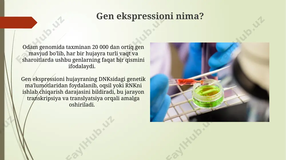 transkriptomika usullari yordamida genlar ekspressiyasini miqdoriy aniqlash - Page 5
