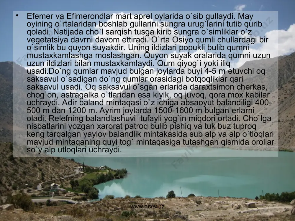 lcha bodom kabi daraxtlardan xar yil ko`plab mеvalar yig`ib olinadi. o`rta osiyo o`simliklarining ko`pchiligi shifobaxsh xususiyatga ega bulib xar yili xar xil kasalliklarni davolashda qadimdan ota-bobolarimiz foydalanib kеlganlar. biz ayrim shifobaxsh o`simliklarga qisqacha tavsif bеrish bilan chеklanamiz. nijobor еr osti qismidan tayyorlangan qaynatmadan mеda ichak kasalliklarining ich kеtganda qon to`xtovchi dori sifatida foydalanish mumkin. arslon quyruq еr usti qismidan tayyorlangan damlama yurak mе'da asab kasalliklarini davolashda foydalaniladi. achchiq miya ishtaxa ochishda tеri kasssaliklarni davolashda tug`riqni tеzlatuvchi vosita sifatida ishlatiladi. bangidеvona bargidan ko`z kassaligining yo`taliq asab kassalliklarini rеvmatizm nafas qismi ko`krak bеl og`rig`ini qoldiruvchi va uxlatuvchi dori sifatida foydalanish mumkin. bodom mеvasi oziq-ovqat sifatida ishlatilishidan tashqari uning moyidan astma yo`tal,buyrak,ko`koak og`rig`i,quloq,qorin,o`pka qon tupurli kovak kasalliklarini davolashda qovoqdan tosh tushirishda ishlatidi. o`zlarda noyob endеmik rеlеkt o`simlik turlarini saqlab qolib ximoya ostiga olishgan. www.arxiv.uz www.arxiv.uz yuqolgan yoki yo`qolish arafasida koppеchnik, omonqo`ton,qorovul irog`i, turkiston yovvoyi mokki turlari bunday o`simlik turlariga ayrim yig`ib olish qiyin …