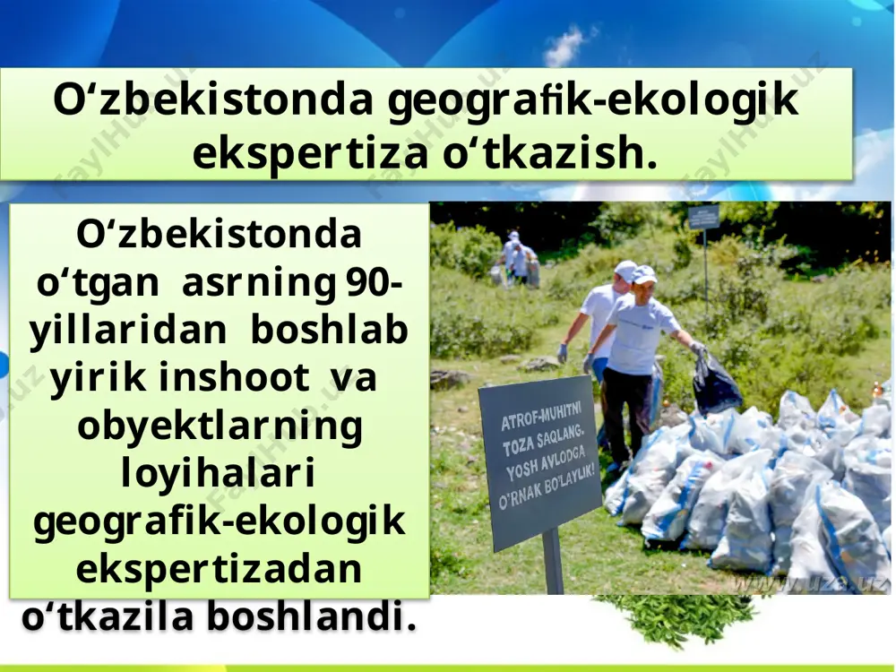 ekologik ekspertizani baholash - Page 5