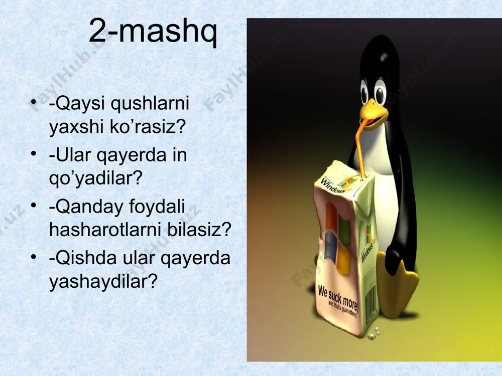 4-sinf qushlar va hasharotlar - Page 3