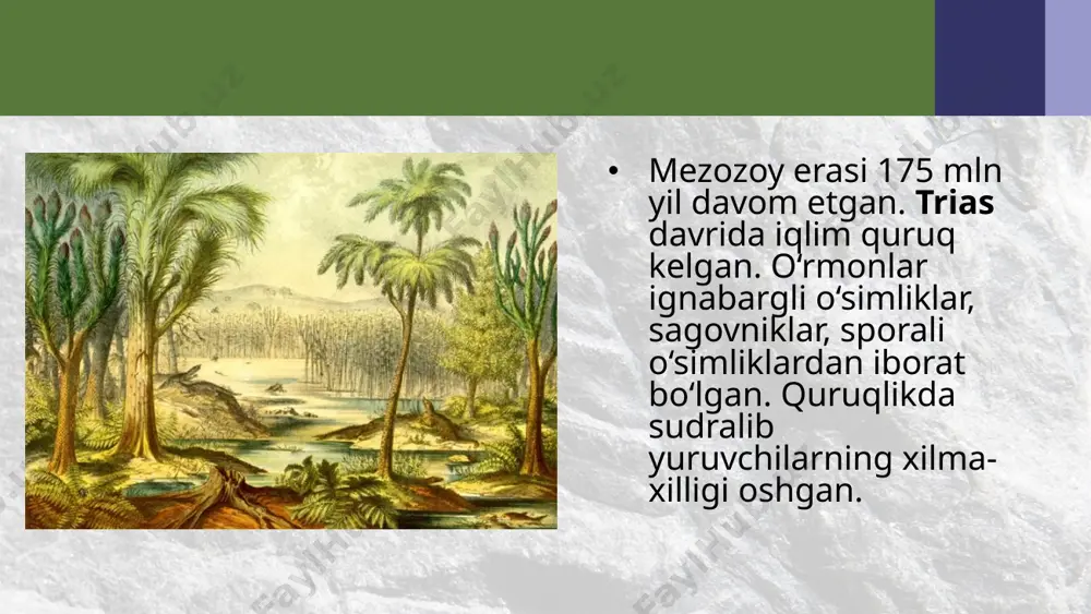 i davr o‘rtalarida iqlim quruq va mo‘tadil, oxirida esa kes kin sovigan. iqlimdagi bunday o‘zgarishlar o‘rmonlarning kamayishiga, o‘tsimon o‘simliklarning keng tarqalishiga olib kelgan. hasharotlar avj olib rivojlangan. quruqlikda, havoda qushlar, sutemizuvchilar, suvda esa baliqlar, ikkinchi marta suv muhitida yashashga moslashgan sutemizuvchilar ko‘paygan. yo‘ldoshli sutemizuvchi hayvonlarning qadimgisi hasharotxo‘rlar turkumi bo‘lib, ularning tuzilishi nisbatan sodda bo‘lgan, ulardan dastlabki yirtqichlar va primatlar kelib chiqqan. davrning oxiriga kelib odamsimon maymunlar rivojlanadi. o‘rmonlarning qisqarishi bilan ba’zi odamsimon maymunlar ochiq yerlarda yashashga majbur bo‘ladi. natijada janubiy «maymunlar» – avstralopiteklar kelib chiqqan. kaynozoy erasining to‘rtlamchi davrida yerning katta qismi muz bilan qoplangan. issiqsevar o‘simlik qoplami janubda saqlanib qolgan, ko‘p o‘simlik turlari yo‘qolgan. to‘rtlamchi davrda odam ajdodlari evolutsiyasi tezlashadi. odamlarning son jihatdan orta borishi va keng tarqalishi o‘simliklar va hayvonot olamiga ta’sir eta boshlaydi. dastlabki ovchilar faoliyati tufayli o‘txo‘r yovvoyi hayvonlar soni asta-sekin kamaya boradi. yevropa va osiyoda mamontlar, qalin yungli karkidonlar, amerikada mastodontlar, ot ajdodlari, bahaybat yalqov, …