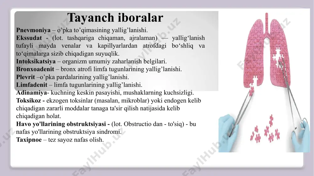 nia) va gemofil tayoqchasi – haemophylus influenzae hisoblanadi. 60-70-yillarda bolalarda pnevmoniyaning birinchi o’rinda turadigan sabablaridan biri tillarang stafilokokk hisoblangan. epidemik mavsumda (avgust-noyabr) erta yoshdagi, maktabgacha va maktab yoshidagi bolalarda mycoplasma pneumoniae (miko’plazmalar) ahamiyati yuqori bo'ladi. o’smir yoshda chlamidia pneumoniae (xlamidiyali pnevmoniya) kasallikni sababchi omili bo’lib hisoblanadi. viruslar asosan bir yoshgacha bo’lgan bolaiarda virusli pnevmoniya rivojlanishida katta ahamiyatga ega. ko’p qusadigan, nafas yo'llari aspirasiyasi bor bolalarda pnevmoniyaning sababchisi ichak tayogchasi, tillarang stafilokokk. homila ichi infeksiyalanishida ko’pincha xlamidiyali pnevmoniya tashxislanadi. kam ho’llarda muddatidan oldin tug’ilgan bolalarda pnevmosistali pnevmoniya (qo’zg’atuvchisi - pnevmosistlar). og’ir darajali chala tug’ilgan bolalarda ureaplazma va mycoplasma hominis chaqirgan pnevmoniyalar aniqlangan. alohida katta guruxni boshqa kasallik tufayli kasalxonaga yo’tqizilgan bolalarda rivojlanuvchi kasalxona ichi pnevmoniyasi tashkil qiladi. bunday pnevmoniya antibiotiklarga yuqori rezistent bo’lgan “shifoxona” shtammlari (stafilokokk, klebsiella, psevdomonas - ko’k yiringli tayo’qcha). etiologiyasi. kasallik chaqiruvchi mikroorganizmlar o’pkaga ko’pincha aerogen yo'l orqali tushadi. mikroblaming bronxlar shilliq qavatida joylanib olishiga bola immun mexanizmining …