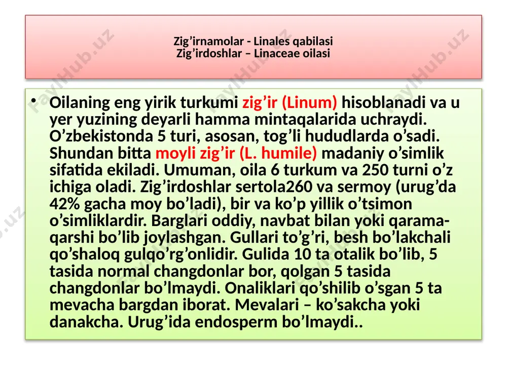 kanli o’simlik. bargining uzunligi - 2 - 9 sm, eni - 3 - 15 mm. ustki tomoni och yashil, ostki tomoni kumushsimon oq ranglidir, gullari bargi bilan bir vaqtda chiqib rivojlanadi hamda to’p bo’lib shoxlarda joylashadi. changchi gullarining gulqo’rg’oni 2 bo’lakli, 4 changchili. urg’ochi gullarining gulqo’rgoni 2 bo’lakli, o’rtasida bitta uzun ustuncha yetiladi. yetilgan mevasi sershira, to’q sariq apelsin rangli, ananas mazasini beruvchi, sharsimon yoki biroz cho’zinchoq shaklda. may oyida gullaydi, mevasi avgust-sentabr oylarida pishadi. vitaminga boy o’simlik. mevasini shundayligicha iste'mol qilish, undan qiyom, konserva, kisel, vino va hokazolar tayyorlash mumkin. xalq tabobatida qon bosimini davolashda, tishni chidamli qilishda ishlatiladi. to’qayzorlarda, daryo sohillarida o’sadi ziranamolar —apiales qabilasi araliyadoshlar-araliaceae oilasi oila 80 dan ortiq turkumga mansub 800 turni o’z ichiga oladi. ko’pchilik araliyadoshlarga mansub turlar tropik va subtropik hududlarda o’sadi. ularning aksariyat turlari malayziya, indoneziya va amerika tropiklarida uchraydi. araliyadoshlar - uncha katta bo’lmagan daraxtlar yoki butalarni, ba'zi chirmashib o’suvchi lianalarni …