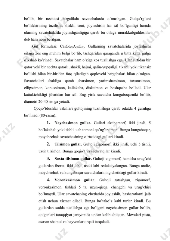 takasoqol, sachratqi, bo’ztikan, tovsag’iz kabi turkumlarni o’z ichiga oladi. qoqio’t - taraxacum turkumiga asosan ko’p yillik va ikki yillik o’q ildizli o’tlar kiradi. o’simlikning deyarli hamma qismida sut shirasi bor. barglari ildiz bo’g’zida joylashgan, nashtarsimon, chetlari turli darajada qirqilgan. savatcha (to’pguli) to’pbarg o’rtasidan chiqqan, ichi bo’sh gulband uchida joylashgan. gullari sariq rangli. mevasi (pistasi) cho’ziq, uchi tukli (popukli). erta bahordan yoz oylarigacha gullab, meva beradi. o’zbekistonda cho’ldan to tog’ mintaqasigacha bo’lgan hududlarda keng tarqalgan. 80-rasm. a. asteroidea, б. lactucoidea. a: to’pgul xillari: 1-naychasimon, 2voronkasimon jinssiz, 3-changchi nayi, 4-tilsimon (changchili). 5,6,7,8-mevalar, 9,11-naysimon gullar, 10,12-naysimon va tilsimon gullar. б. gul tiplari. 1ikkilabli, 2. tilsimon, 3,4,5 – mevalari, 6-savatcha sxemasi turkumning dorivor qoqio’t - taraxacum officinale turidan dorivor o’simlik sifatida foydalaniladi. u pastki barglari yerga yotib o’sadigan ko’p yillik o’t. gullari (to’pguli) to’q sariq. savatchasining diametri 3-4 sm, gulbandi uzun. asosan aholi yashaydigan joylarda, yo’l yoqalarida, ariq bo’ylarida o’sadi. tibbiyotda qoqining ildizidan foydalaniladi. …