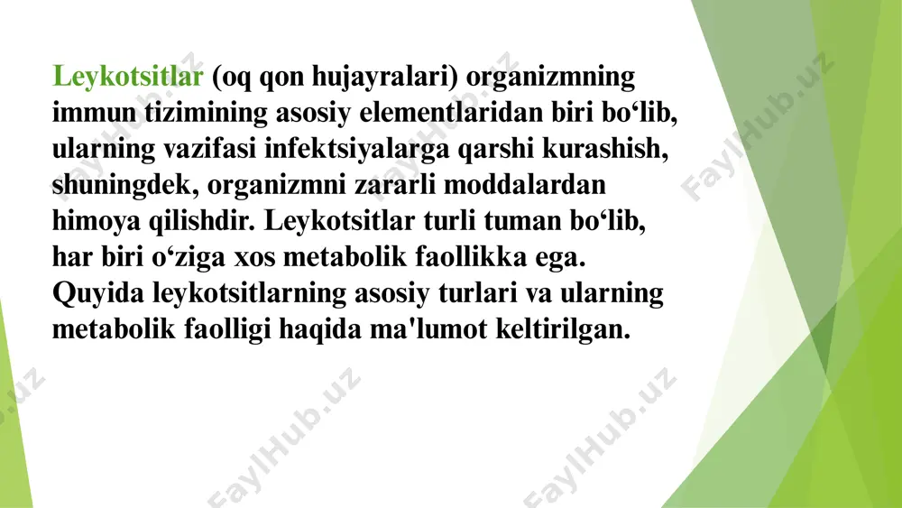 illar 0-6%. segment yadroli neytrofil diametri 12-16 mkm, hujayra yadrosi qizil - binafsha rang, yadro - sitoplazma nisbati 1:6-1:8. xromatin strukturasi yirik bo‘lakchali. xujayra sitoplazmasi pushti rang, neytrofil donadorlikka ega. neytrofillarning asosiy funksiyalari: fagotsitoz, dezintoksikatsiya, yallig‘lanish reaksiyasini chaqirish, leykotsitlarning etilishida ishtirok etish, qon ivishida ishtirok etish. normada periferik qonda segment yadroli neytrofillar 47-72%. eozinofillar 12-16 mkm diametrdagi yumaloq hujayralar bo‘lib, yadro sitoplazmatik nisbati 1:1. yadrosi to‘q binafsha rang, odatda ikkita segmentdan iborat, xromatin strukturasi notekis, yirik bo‘lakchali. sitoplazma oksifil, yirik sariq-pushti rangli maxsus granulalarga ega. eozinofillar qonda 6-12 soat bo‘ladi, keyin to‘qimalarga o‘tadi. eozinofillar 4 - 30 soat yashaydi. eozinofillarning funksiyasi allergik reaksiyalarni cheklash, antigelment immunitetni hosil qilish, fagotsitoz, yallig‘lanish jarayonida ishtirok etish, qon ivishida ishtirok etish. normada leykoformulada 0-5% eozinofillar bo‘ladi. bazofillar leykotsitar formulada normada 0-1% uchraydi. ularning funksiyasi: qon tomir o‘tkazuvchanligini yaxshilash, allergik reaksiyalarni cheklash, o‘smaga qarshi jarayonda ishtirok etish, yallig‘lanishga qarshi ta’sir, qon ivishida ishtirok etish, triglitseridlar …