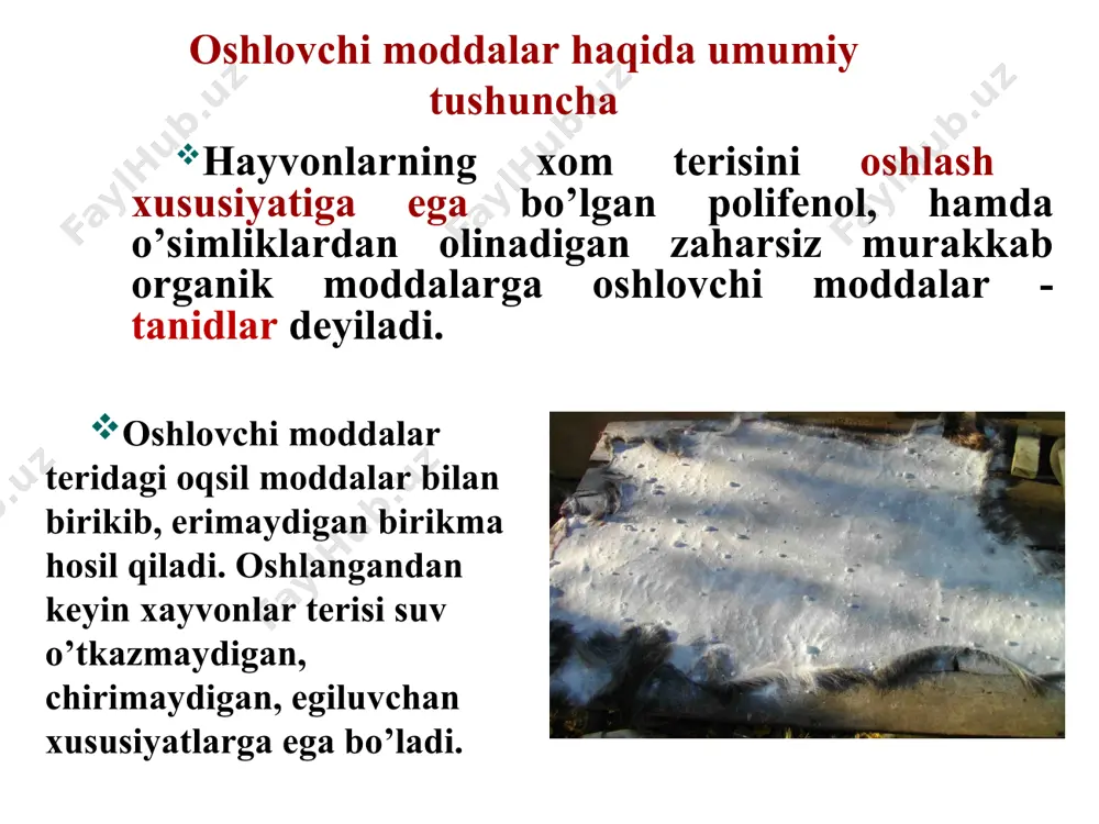 oshlovchi moddalarni biosintеzi kondensasiyalanuvchi tanidlarning asosiy qismi bo’lgan katehinlar va leykoantosiyanlar molonil-koa va asetil - koa larning kondensatsiyasi orqali sintezlanadi. oshlovchi moddalarni o’simlik dunyosida tarqalishi lishayniklarda, suv o’tlari, qo’ziqorinlar tarkibida; sporali o’simliklardan- paporotniklar, qirqbo’g’mlar, plaun va moxlarda; yuqori o’simliklardan ayniqsa ikki pallali o’simliklar sinfiga kiruvchi oilalarda: ra'noguldoshlar dukkakdoshlar qoraqatdoshlar torondoshlar qoraqayindoshlar pistadoshlar va boshqa oilalarda ko’p uchraydi. tanidlar ayrim o’simliklarning patologik o’simtalarida (gallalarda) 70% dan ham ko’p bo’ladi. oshlovchi moddalarni o’simlik to’qimasida to’planishiga ta’sir etuvchi omillar o’sish davriga o’sish joyi tuproq tarkibi iqlim dengiz satxidan balandligi oshlovchi moddalar o’simlik to’qimasida oksidlanish-qaytarilish jarayonlarida faol ishtirok etadi. oshlovchi moddalar baktеritsid va fungitsid ta'siriga ega bo’lgani sababli daraxtlarni yog’och qismini tеz chirishdan saqlaydi. ximoya vazifasini bajaradi. agar o’simliklarga tashqaridan ta'sir etilsa (xashorat o’simlikni yaralab chaqib tuxim qo’ysa), zararlangan to’qimalarda ko’p miqdorda oshlovchi moddalar hosil bo’ladi. oshlovchi moddalarning o’simliklar hayotidagi roli fizik va kimyoviy xossalari oshlovchi moddalar amorf kukun. suvda, turli darajadagi spirtda, etil …
