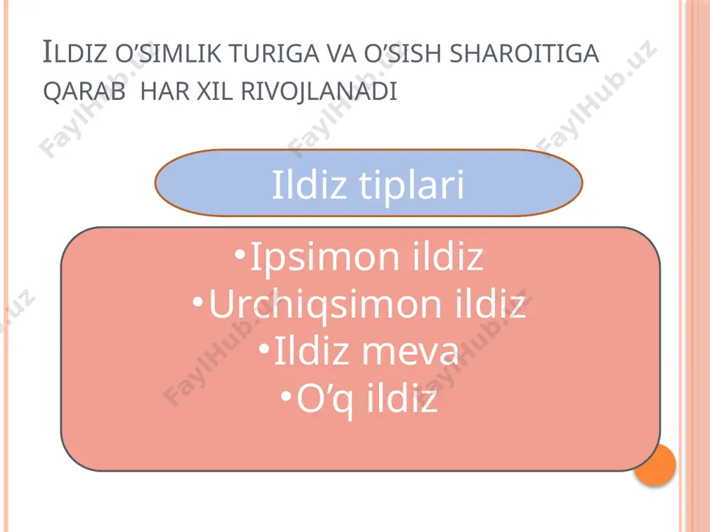 ildiz poya barg metamorfozi taqdimoti - Page 5