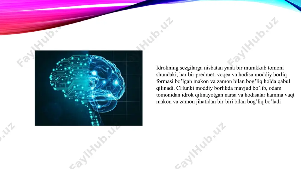 idrokning nerv-fiziologik asoslari, xususiyatlari va qonuniyatlari - Page 5