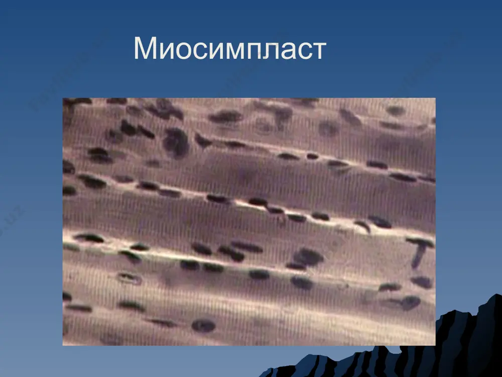 цитология - Page 4