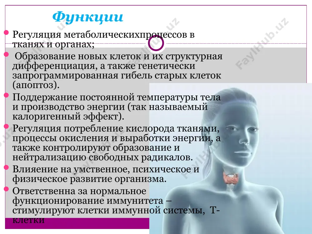 патология щитовидной железы - Page 4