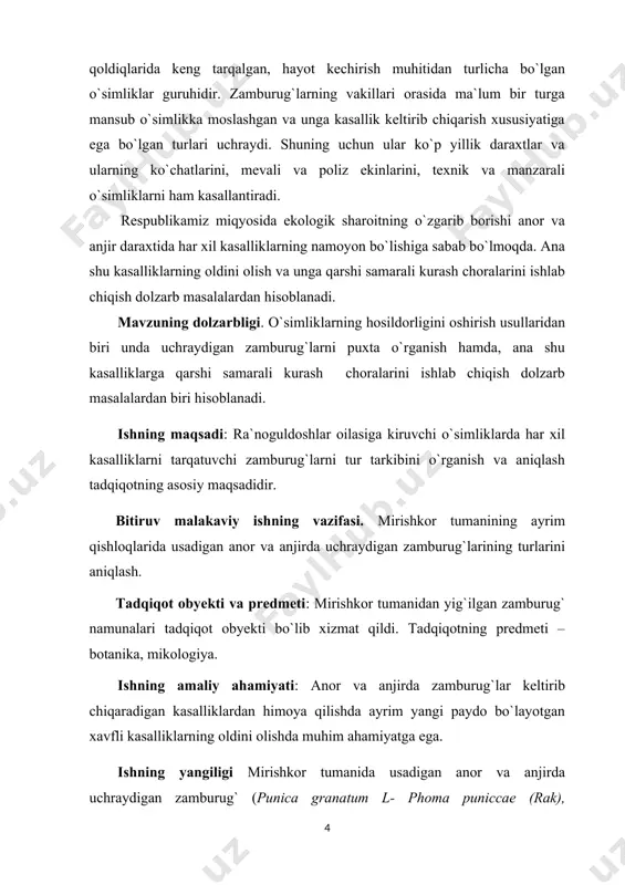 `lar keltirib chiqaradigan kasalliklardan himoya qilishda ayrim yangi paydo bo`layotgan xavfli kasalliklarning oldini olishda muhim ahamiyatga ega. ishning yangiligi mirishkor tumanida usadigan anor va anjirda uchraydigan zamburug` (punica granatum l- phoma puniccae (rak), sphaceloma punicae (kalmaraz),podasphare okyacantaeва (un-shudring) fikus - sрhalchopsis malochit (qora rak), venturia pirina (kalmaraz), morilia fructigena (монилиоз) ctympoyaporangium sabinoe (zang) )kabi kasallklari borligi aniqlandi. bitiruv malakaviy ish yuzasidan qarshi davlat uneversitetining fan, taraqqiyot va yoshlar ilmiy-amaliy konferensiya materiallariga 1ta maqola chop ettirdim. (qashqadaryo viloyati anjirzorlarida uchraydigan qora rak kasalligi ) i. bоb. adabiyotlar sharxi yuksak о`simliklarning zamburug` kasalliklarni о`rganish, ularni keltirib chiqaradigan zararlarini aniqlash va kasallik tarqalmasligi uchun ayrim chora-tadbirlarni ishlab chiqish muammolari kishilik jamiyatini bir necha yuz yillardan beri qiziqtirib keladi. mikologiya fanining rivojlanishidagi boshlang`ich davr ham aynan zamburug`lar florasini aniqlashdan boshlangan. ushbu maqsadni amalga oshirish natijasida mikofloristik rо`yxatlar, floristik konspektlar, aniqlagichlar va mahalliy hamda umumiy xarakterga ega bо`lgan mikofloristik sharxlar tuzila boshlangan. о`rta osiyo sharoitida …