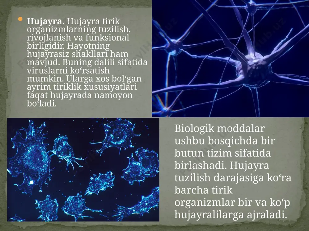 tiriklikning tuzilish darajalari. 9 - sinf - Page 5
