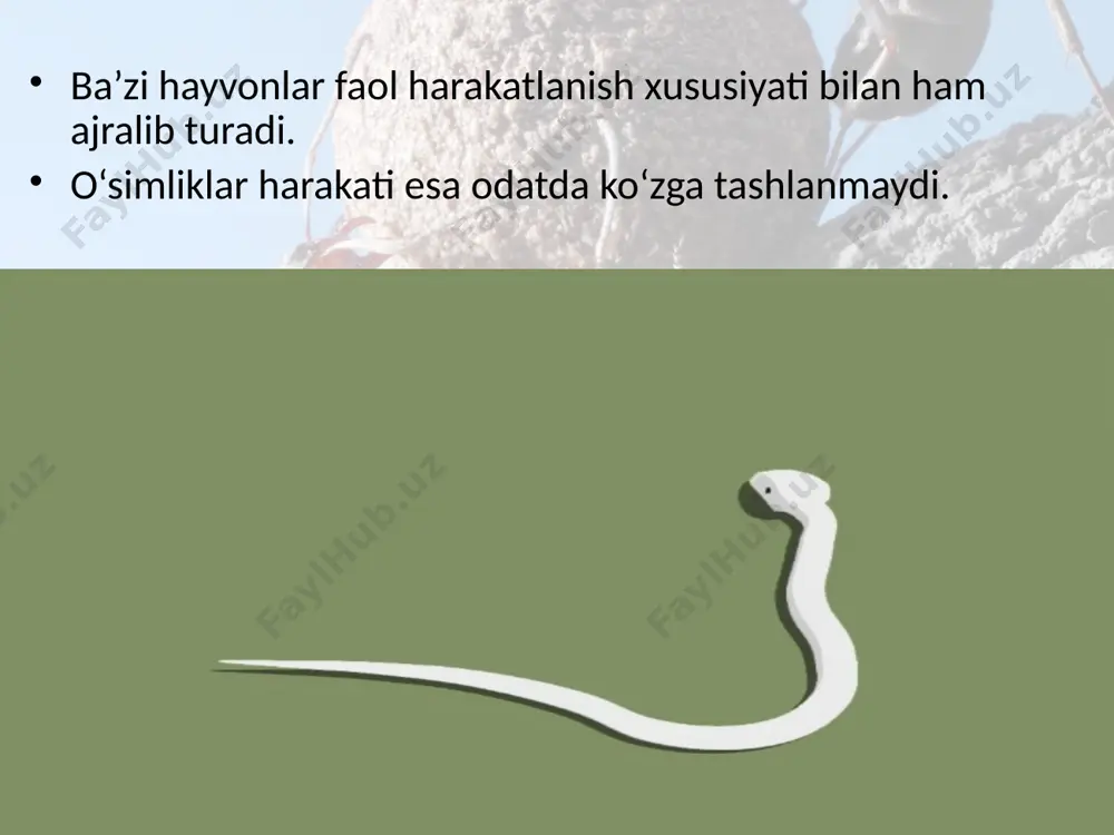 hayvonlar dunyosi. 9 - sinf - Page 3