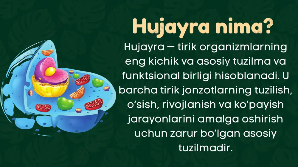 hujayraning o‘sishi va ko‘payishi uchun zarur bo‘lgan genetik axborotni saqlaydi. mikroelementlar ular juda kichik miqdorda bo‘lsa-da, hujayra uchun zarur hisoblanadi: temir (fe): gemoglobin va ba’zi fermentlar tarkibida bo‘lib, kislorod tashishda va hujayrada energiya ishlab chiqarishda ishtirok etadi. magniy (mg): fotosintez jarayonida zarur va hujayra ichidagi fermentlar faolligini oshiradi. kaliy (k) va natriy (na): hujayra ichida osmotik muvozanatni saqlaydi va nerv impulslarini uzatishda ishtirok etadi. kalsiy (ca): mushaklar qisqarishi, qon ivishi va hujayra ichidagi signal uzatishda muhim rol o‘ynaydi. rux (zn): ba’zi fermentlar tarkibida bo‘lib, hujayraning o‘sishi va tiklanishida ishtirok etadi. bu elementlarning har biri hujayra faoliyatini ta’minlashda o‘ziga xos rol o‘ynaydi va ular birgalikda hujayraning kimyoviy va biologik jarayonlarini boshqaradi. nuklein kislatalar nuklein kislotalar, ya’ni dnk (dezoksiribonuklein kislota) va rnk (ribonuklein kislota), hujayraning genetik axborotini saqlash va o‘tkazishda ishtirok etuvchi asosiy biologik makromolekulalardir. ular hayotiy jarayonlarni boshqarish va nasldan-naslga axborot uzatishda muhim rol o‘ynaydi. dnk (dezoksiribonuklein kislota) tuzilishi: dnk ikki …
