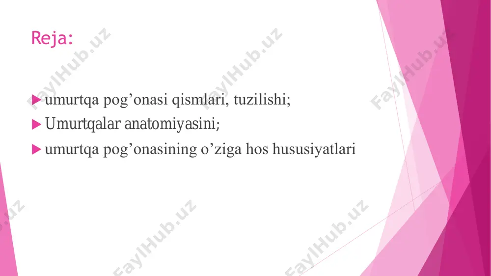 ing tanaga yaqin qismida yuqoriga yo‘ nalgan ustki bo‘g‘im o‘siqchasi va pastga yo‘nalgan pastki bo‘g‘im o‘siqchasi joylashadi. ularning har birida ustki va pastki bo‘ g‘im yuzalari bo‘lib, qo‘shni umurtqalar bilan bo‘g‘im hosil qiladi. ustki va pastki bo‘ g‘im o‘siqchalarining asosi bilan umurtqa tanasi o‘rtasida umurtqaning ustki va pastki kemtiklari bor. pastki umurtqa kemtigi nis batan chuqurroq. umurt qalar o‘zaro birlashganida ustki va pastki kemtiklar o‘ng va chap tomonda umurtqalararo teshikni hosil qiladi. bu teshiklar orqali orqa miya nerv lari va qon tomirlar o‘tadi.  bo‘yin umurtqalari (vertebra cervicales) 7 dona (23- rasm). ular ga og‘irlik kam tushgani uchun tanasi nisbatan kichik va ellipssimon shaklda. bo‘yin umurtqalari tanasi iii umurtqadan vii ga qarab kattalashib boradi. ularning ustki va pastki yuzalari egarsimon bukilgan. umurt qa teshigi esa nisbatan katta, uchburchak shaklida. bo‘yin umurt qalarining o‘ziga xos xususiyatlaridan biri ularning ko‘ndalang o‘siqchalaridagi teshikdir. bo‘yin umurtqalari ko‘ndalang o‘siqchalarining yuqori yuzasida joylashgan orqa miya nervining …