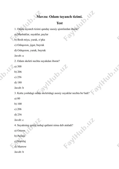 odam tayanch tizimi — DOCX