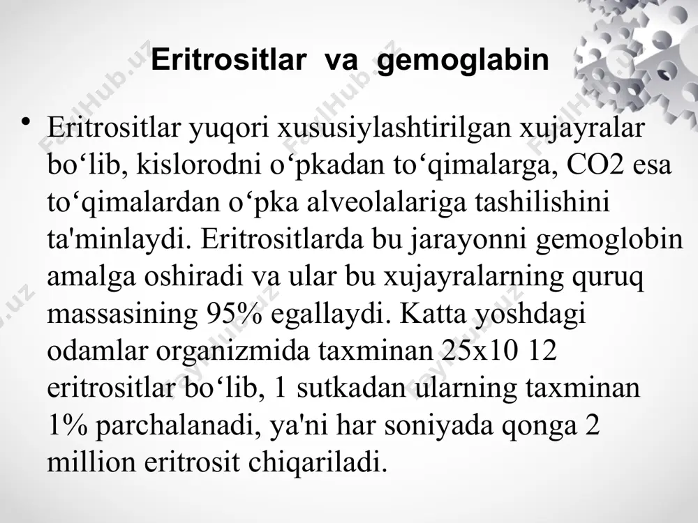 qdori 120 g/l tashkil etadi. u 4 subbirlikdan tashkil topgan globin molekulasidan va gem qismidan iborat. gem fe2+va porfirindan tashkil topgan. gemdagi temir qaytarilgan (fe+2) xolatda boʻladi. gemdagi temirni oksidlanishida (fe3+) gematin xosil boʻladi. gemning asosiy qismi gemoglobin bilan toʻyingan eritrositlarda, mioglobin tutuvchi mushak xujayralarida va sitoxrom p450 miqdori yuqori boʻlgan gepatositlarda boʻladi. asosan retikulositlarda sintezlanadi. gem sintezida glisin va suksinil-koa katnashadi. bulardan ε-aminolevulinat sintezlanadi. ikki molekula ε–aminolevulinat molekulasi kondensasiyalanib, porfobilinogen hosil boʻladi. toʻrtta porfobilinogen molekulasi kondensatlanishi yoʻli bilan uroporfirinogen hosil boʻladi, bu soʻngra ix protoporfirinogenga aylanadi. ix protoporfirin ferroxelitaza ta'sirida temirni biriktirib gemga aylanadi. gem sintezini boshqarilishi: gem sintezini ε-aminolevulinat sintaza va porfobilinogen sintaza fermentlari idora etiladigan fermentlar boʻlib ularni gem va gemoglobinlarning ortiqcha miqdorlari tormozlaydi. ikkinchi tomondan gemoglobinning peptid zanjirlari faqat gem ishtirokida sintezlanadi. demak, gemoglobinning gem va polipeptid qismlari bir-biri sintezini nazorat qiladi. temir almashinuvi odam organizmida hammasi boʻlib 5-6 g temir boʻladi: shulardan 65-70% gemoglobin tarkibida, …
