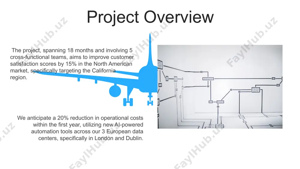 market expansion and customer service improvement project - Page 5