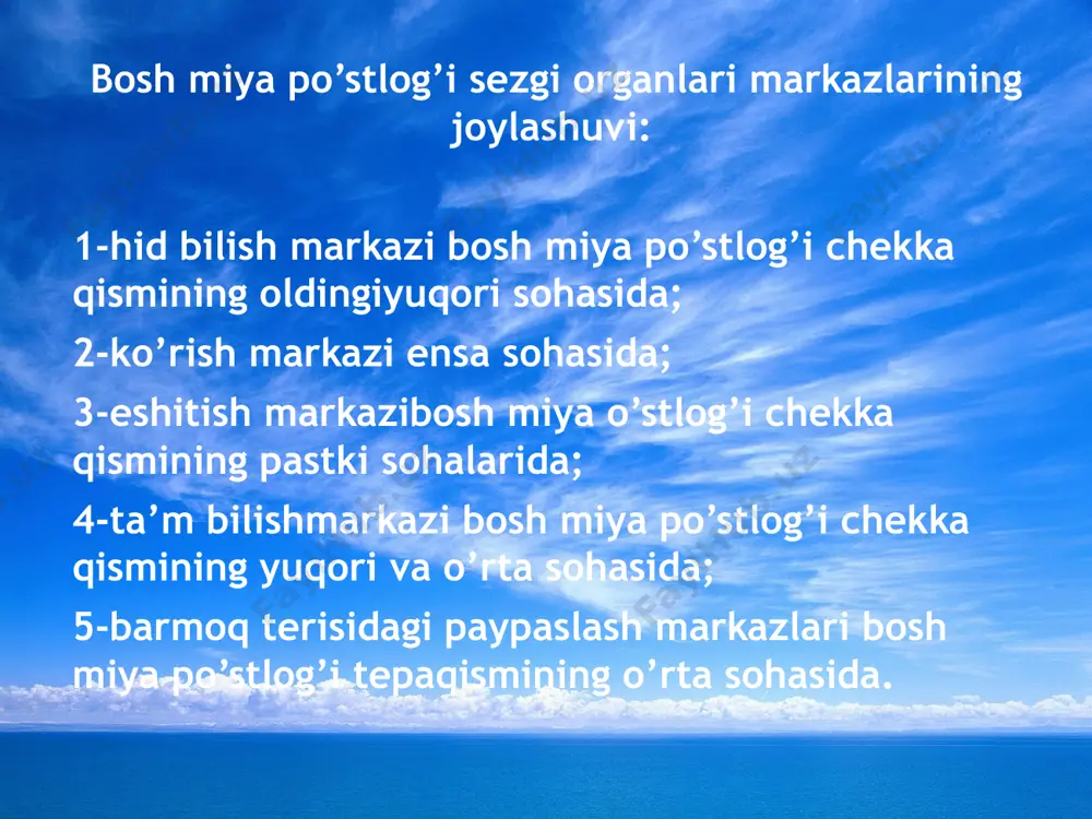 sezgi organlari - Page 5