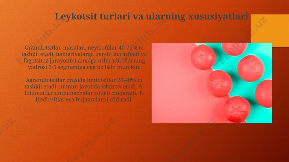 gemoglobin va uning turlari - Page 4