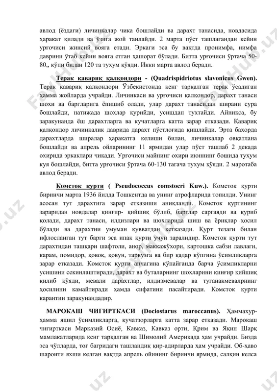 ак қавариқ қалқондори ўзбекистонда кенг тарқалган терак ўсадиган ҳамма жойларда учрайди. личинкаси ва урғочиси қалқондор, дарахт танаси шохи ва баргларига ёпишиб олади, улар дарахт танасидан ширани сура бошлайди, натижада шохлар қурийди, усишдан тухтайди. айниқса, бу заракунанда ёш дарахтларга ва кучатларга катта зарар етказади. қавариқ қалқондор личинкалик даврида дарахт пўстлоғида қишлайди. эрта бахорда дарахтларда ширалар ҳаракатга келиши билан, личинкалар овқатлана бошлайди ва апрель ойларининг 11 ярмидан улар пўст ташлаб 2 декада охирида эркаклари чиқади. урғочиси майнинг охири июннинг бошида тухум куя бошлайди, битта урғочиси ўртача 60-130 тагача тухум қўяди. 2 маротаба авлод беради. комсток қурти ( pseudococcus comstocri kuw.). комсток қурти биринчи марта 1936 йилда тошкентда ва унинг атрофларида топилди. унинг асосан тут дарахтига зарар етказиши аниқланди. комсток қуртининг зараридан новдалар қинғир- қийшиқ бўлиб, барглар саргаяди ва қуриб қолади, дарахт танаси, илдизлари ва шохларида шиш ва ёриқлар ҳосил бўлади ва дарахтни умуман қувватдан кетказади. қурт тезаги билан ифлосланган тут барги эса …
