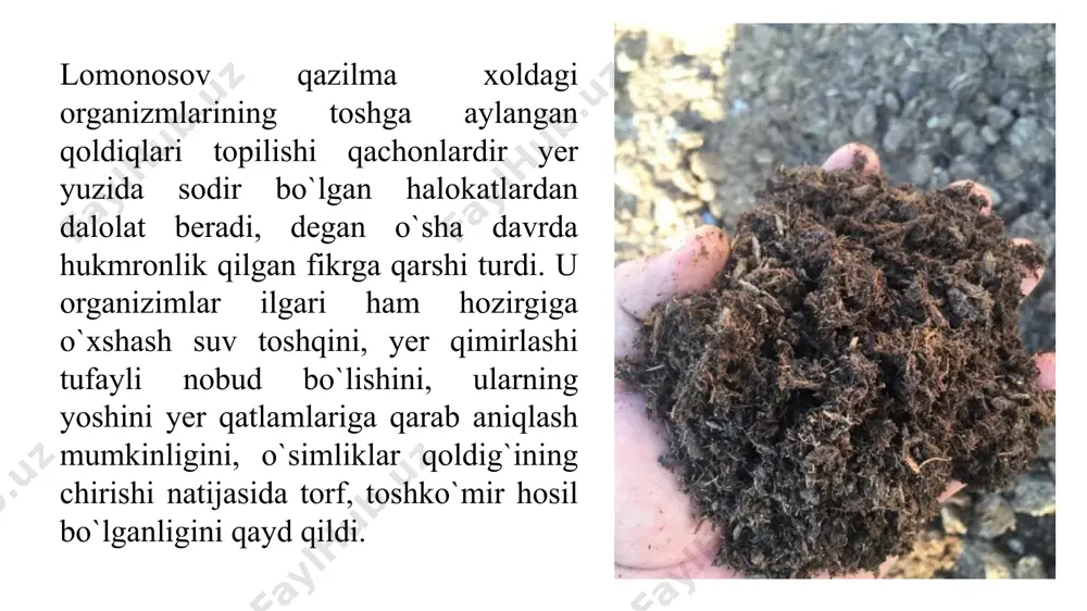 transformizim va kreotseonizim o'rtasidagi kurash - Page 4