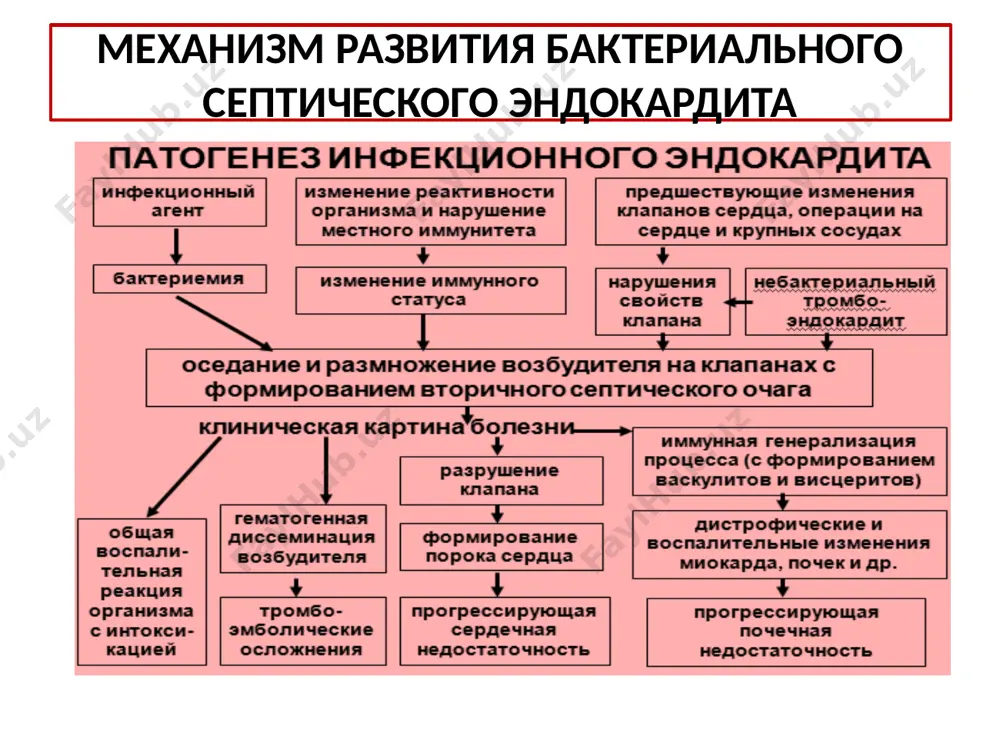 аками церебральных осложнений (инфаркта мозга, развивающегося вследствие тромбоэмболии мозговых сосудов, внутримозговых гематом, абсцесса мозга, менингита и т.п.); признаки тромбоэмболии легочной артерии (тэла), нередко выявляющиеся при поражении трикуспидального клапана- цианоз, удушье, ортопноэ идр.; признаки тромбоэмболии и септического поражения селезенки - спленомегалия, болезненность в левом подреберье; объективные признаки острого асимметричного артрита мелких суставов кистей рук, стоп. периферические симптомы бактериального септического эндокардита, обусловленные васкулитом или эмболией наиболее часто (22%) наблюдаются петехии и геморрагические высыпания на коже нижних конечностей. обычно сыпь и кровоизлияния бывают мелкими (1-2 мм в диаметре), имеют четкие границы и геморрагический характер. пятна лукина – 11% больных, другие периферические признаки – в единичных случаях. узелки ослера – проявление иммунокомплексного васкулита, встречаются у 10-25 % больных, обычно через несколько недель от начала заболевания, нередко тогда, когда уже проводится лечение сепсиса. пятна или безболезненные кровоподтеки размером до 5мм на ладонях и подошвах (пятна дженуэя - janeway). кровоизлияния под ногтями в виде красно – …