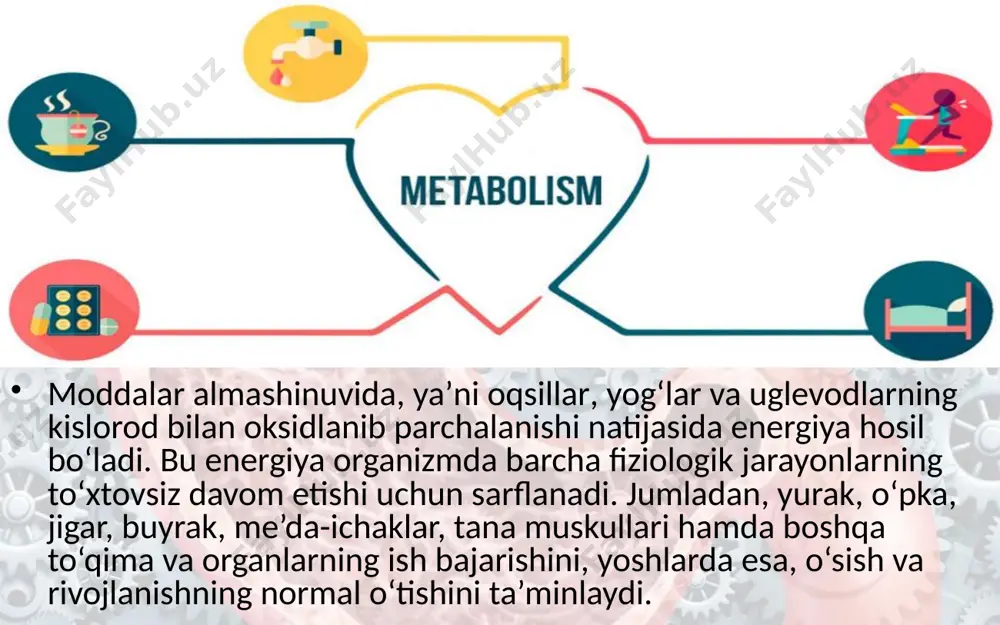 ‘lgan ehtiyojini qondirishi kerak. ovqatlanishning uchinchi qoidasi ovqatlanish rejimidir. bir kecha-kunduzgi ovqat miqdori to‘rt qismga bo‘lingan holda iste’ mol qilinishi kerak. masalan, maktab o‘quvchilarining ovqatlanish rejimi ularni ertalabki yoki kechki smenada o‘qishiga qarab quyidagicha tashkil etilishi mumkin: — ertalabki nonushta — bir kecha-kunduzgi ovqat kaloriyasining 25—30 % ini tashkil etadi (soat 7–7:30 da); —tushki ovqat — bir kecha-kunduzgi ovqat kaloriyasining 35—40 % ini tashkil etishi kerak (ertalab o‘qiydiganlar uchun maktabdan keyin, ya’ni soat 14—15 da; kunning ikkinchi yarmida o‘qiydiganlar uchun soat 12—12:30 da); —kechki ovqat — bir kecha-kunduzgi ovqat kaloriyasining 15—20 % ini tashkil etadi (soat 19—20:00 da). yuqorida ko‘rsatilgan uch marta asosiy ovqatlanishdan tashqari, qo‘shimcha ovqatlanish ham ko‘zda tutiladi. bu bir kechakunduzgi ovqatning 10 —15 % ini tashkil etadi. savol va topshiriqlar organizmda energiya almashinuvi deganda nimani tushunasiz? organizmda hosil bo‘ladigan energiya nimalarga sarflanadi? odam organizmida ovqat qanday funksiyani bajaradi? image2.jpeg image3.gif image4.jpeg image5.gif image6.jpeg image7.jpeg image8.gif image9.jpeg image10.jpeg …
