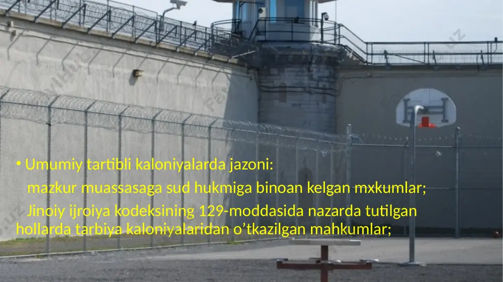 umumiy tartibli kaloniyalarda jazoni o’tash - Page 3