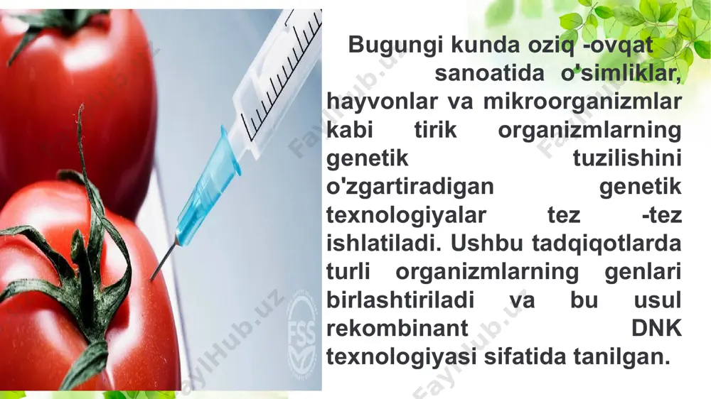 biotexnologik usulda olingan oziq-ovqat mahsulotlarini genetik xavfsizligi - Page 4