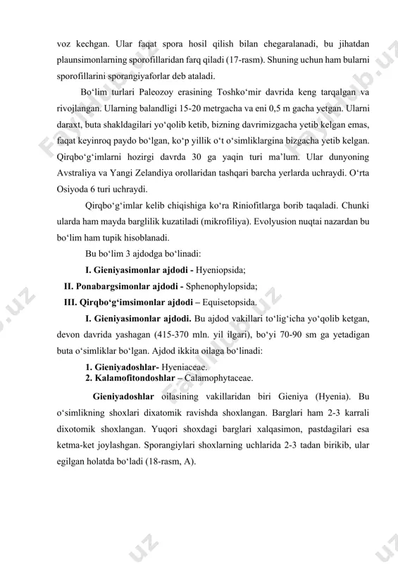 n ham bularni sporofillarini sporangiyaforlar deb ataladi. bo‘lim turlari paleozoy erasining toshko‘mir davrida keng tarqalgan va rivojlangan. ularning balandligi 15-20 metrgacha va eni 0,5 m gacha yetgan. ularni daraxt, buta shakldagilari yo‘qolib ketib, bizning davrimizgacha yetib kelgan emas, faqat keyinroq paydo bo‘lgan, ko‘p yillik o‘t o‘simliklargina bizgacha yetib kelgan. qirqbo‘g‘imlarni hozirgi davrda 30 ga yaqin turi ma’lum. ular dunyoning avstraliya va yangi zelandiya orollaridan tashqari barcha yerlarda uchraydi. o‘rta osiyoda 6 turi uchraydi. qirqbo‘g‘imlar kelib chiqishiga ko‘ra riniofitlarga borib taqaladi. chunki ularda ham mayda barglilik kuzatiladi (mikrofiliya). evolyusion nuqtai nazardan bu bo‘lim ham tupik hisoblanadi. bu bo‘lim 3 ajdodga bo‘linadi: i. gieniyasimonlar ajdodi - hyeniopsida; ii. ponabargsimonlar ajdodi - sphenophylopsida; iii. qirqbo‘g‘imsimonlar ajdodi – equisetopsida. i. gieniyasimonlar ajdodi. bu ajdod vakillari to‘lig‘icha yo‘qolib ketgan, devon davrida yashagan (415-370 mln. yil ilgari), bo‘yi 70-90 sm ga yetadigan buta o‘simliklar bo‘lgan. ajdod ikkita oilaga bo‘linadi: 1. gieniyadoshlar- hyeniaceae. 2. kalamofitondoshlar – calamophytaceae. …