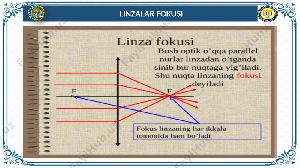 linzaning turlari - Page 5