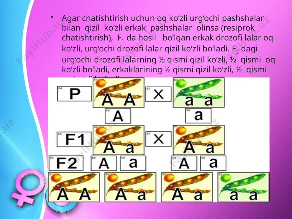 jins bilan bog‘liq holda irsiylanish. 10 - sinf - Page 5