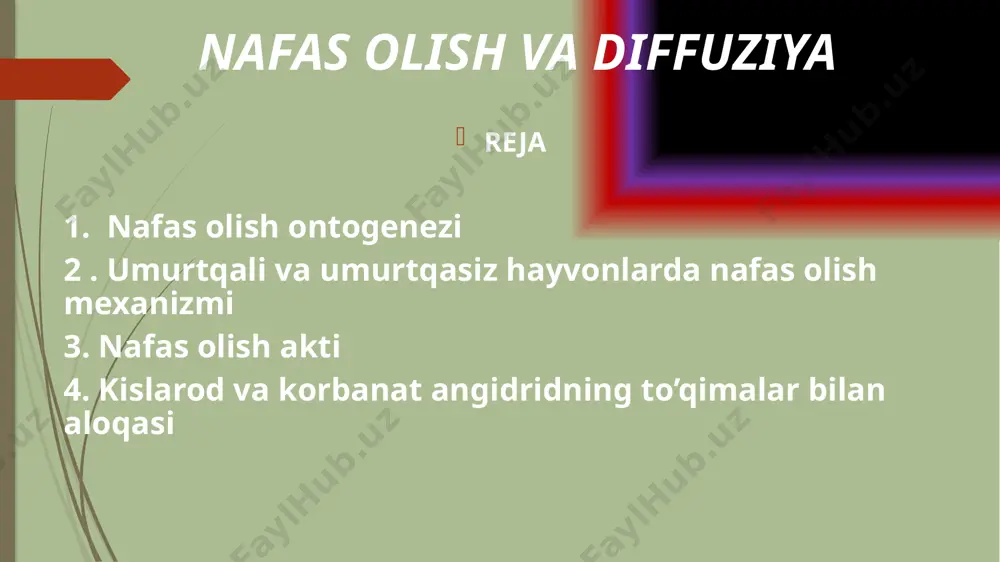 tiga ega. nafas olish sistemasining ontofilogenezi halqali chuvalchanglarda, ayrim bo’g’imoyoqlilarda, molluskalarda, ignaterililarda ma’lum miqdorda erigan gemoglabin bo’ladi. ikkilamchi og’izli hayvonlarda gemoglabinga nisbatan samaraliroq kislarod tashuvchi oqsil-mushak oqsili mioglobin bo’ladi. umurtqali va umurtqasiz hayvonlarda nafas olish mexanizmi tuban umurtqasiz hayvonlarda alohida nafas olish sistemasi bo’lmaydi. gaz almashinish asosan butun tana sathi orqali, diffuziya yo’li orqali amalga oshadi. bunday nafas olish kovakichaklilar, yassi va yumaloq chuvalchanglar uchun xosdir. halqali chuvalchanglar tanasida juda ko’p kapillarlar bo’lib ana shu kapillarlar orqali gaz almashinishi kuzatiladi. diffuz nafas olish tana sathi keng, xitin qavati yupqaroq bo’lgan tuban qisqichbaqasimonlarda ham uchraydi. suvda yashovchi yuqori umurtqasiz hayvonlar asosan jabralari bilan, quruqlikda yashovchiilar esa o’pka va traxeyalar bilan nafas oladilar. evolutsiyada jabra birinchi marta ko’p tukli halqali chuvalchanglarda uchraydi. bunday jabralarda epiteliy o’simtasi bo’lib, qon tomirlarga boy bo’ladi. quruqlikda yashovchi o’rgimchaksimonlarda bargsimon o’pka hasharotlarda tanani chigal shaklda o’rab olgan, har xil diametrdagi traxeya naylari mavjud. umurtqali hayvonlarning nafas olish …