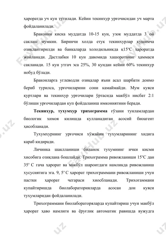 идан бири у тухумларини шираларнинг энг куп жойларига, яъни личинкалари чикикши билан осон озука топадиган ерларга куяди. битта олтинкуз урғочи 1 кунда хашоратларнинг сонига караб 60-65 та ва бутун умри давомида 500-800 тагача тухум куяди ва узбекистон шароитида 4-5 та авлод беради. пахта майдонларида бахорнинг дастлабки ойларида ўртача хар 100 туп ғўза усимлигида 8-15 та имаго, 20-25 та тухум, 2-5 личинка ва 1-2 ғумбак санаш мумкин бўлса ғўзаларга ёппасига сув берила бошлаганда, яъни июн, июл ойларида хар 100 туп ғўзадан 800-1000 тагача имаго, 1200-1300 та тухум, 75-100 та личинка ва 25-30 та ғумбак санаш мумкин. олтинкузлар агробиоценозда муайян урин тутишларига карамай юқори ҳарорат ва ҳаво нисбий намлигининг пастлиги табиий қушандалар, ғўзанинг хар хил кимёвий пестицидлари билан ишлаш даврида уларни анчаси кирилиб кетади. ҳозирги даврда олтинкузларни лабораторияда табиий озиқалардан хамда суъий озиқли мухитларда оммавий тусда купайтириш усули ишлаб чикилган. энкарзия (enarsia) танасининг узунлиги 6-7 мм бўлган митти хашорат хисобланиб, эркаклари урғочиларига …